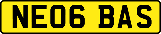 NE06BAS