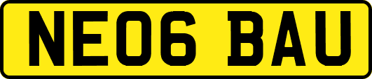 NE06BAU