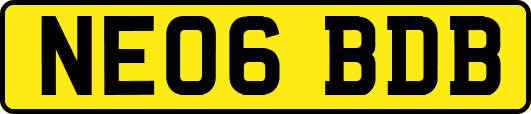 NE06BDB