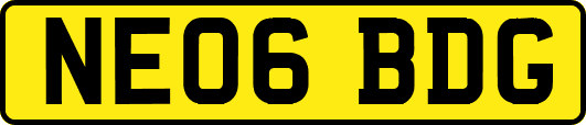 NE06BDG