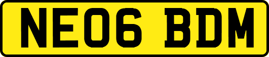 NE06BDM