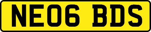 NE06BDS