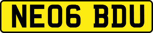 NE06BDU