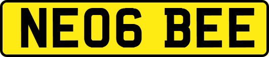 NE06BEE