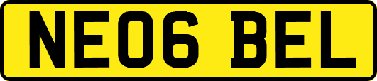 NE06BEL