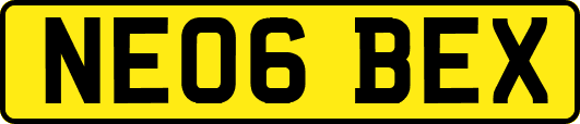 NE06BEX