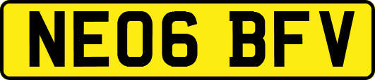 NE06BFV