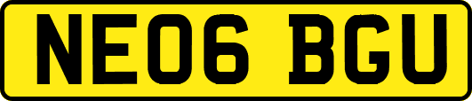 NE06BGU