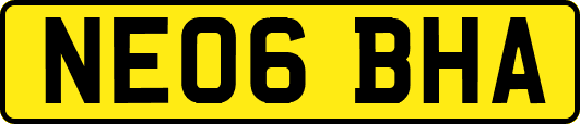 NE06BHA