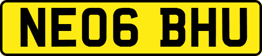 NE06BHU