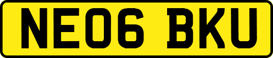 NE06BKU