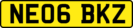 NE06BKZ