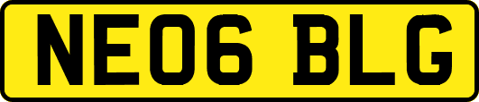 NE06BLG