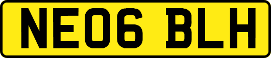 NE06BLH