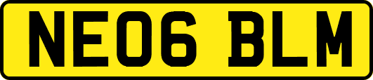 NE06BLM