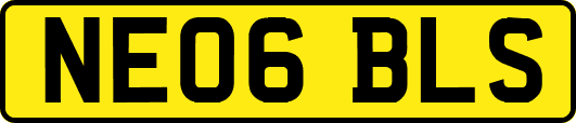 NE06BLS