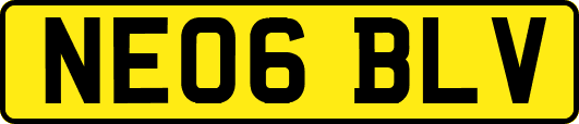 NE06BLV