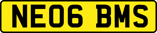 NE06BMS