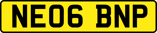 NE06BNP