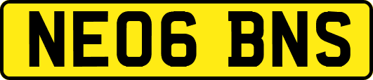 NE06BNS