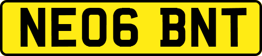 NE06BNT