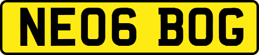 NE06BOG