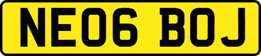 NE06BOJ