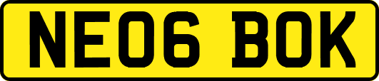 NE06BOK