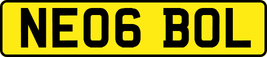NE06BOL