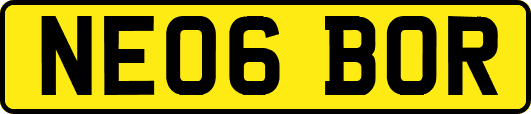NE06BOR