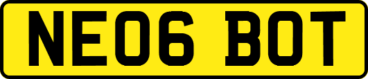 NE06BOT