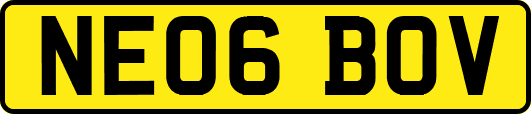 NE06BOV