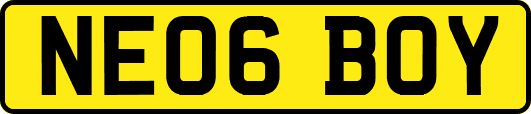 NE06BOY