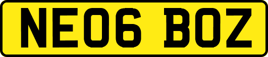 NE06BOZ