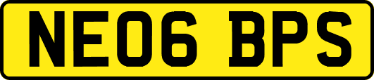 NE06BPS