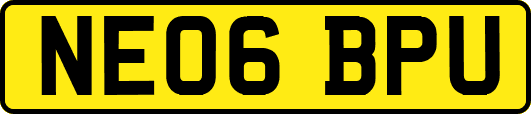 NE06BPU
