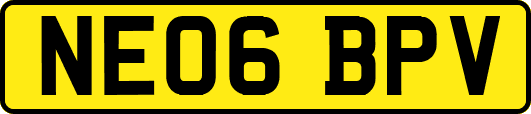 NE06BPV