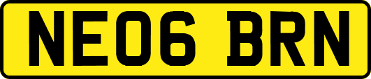 NE06BRN