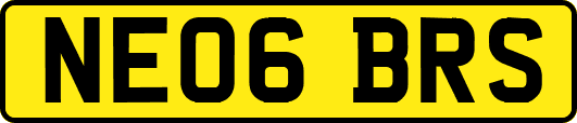 NE06BRS