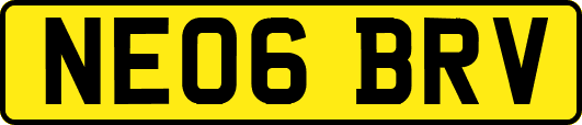 NE06BRV