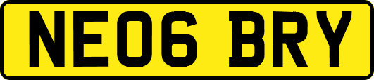 NE06BRY
