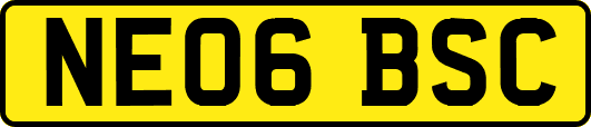 NE06BSC