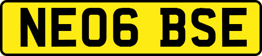 NE06BSE
