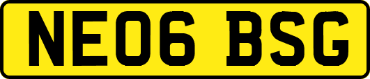 NE06BSG