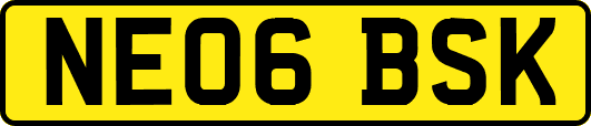 NE06BSK