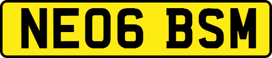NE06BSM