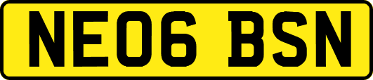 NE06BSN