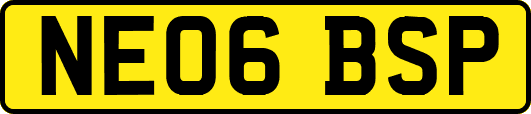 NE06BSP
