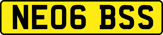 NE06BSS