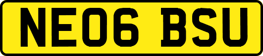 NE06BSU